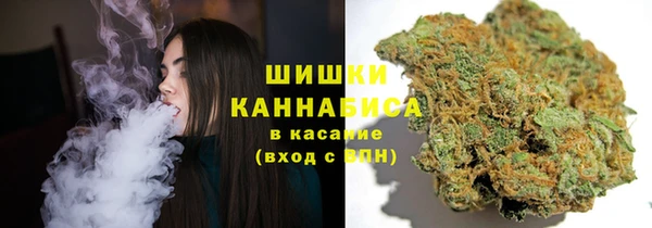 стафф Зерноград
