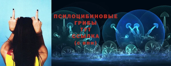 spice Зеленокумск