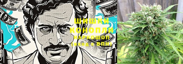 стафф Зерноград