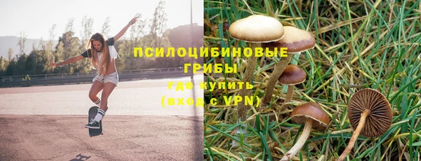 spice Зеленокумск
