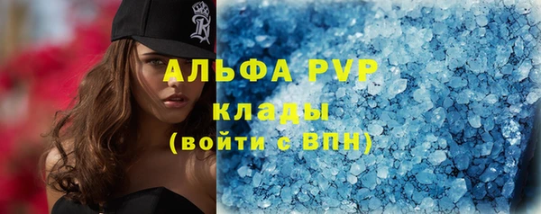 стафф Зерноград