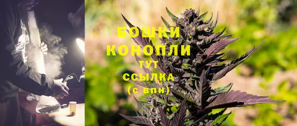 стафф Зерноград