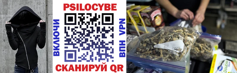 Купить  Ноябрьск  Псилоцибиновые грибы Magic Shrooms 